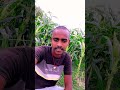 Zindagi mein yaad rakhna bhai train kabhi bam, char nahin hoti#comedy #funny #love subscribe please