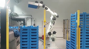 RFA Kawasaki CX210LFE02 Robot de palletiser for crates with Mealworms
