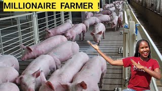 Learn How To Start A PIG Farm Business!(DETAILED) | 2023