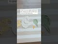 #Shorts #YouTubeShorts #Viral #Storytelling #Stories #Relaxation #Relaxing #stressreliefforpets