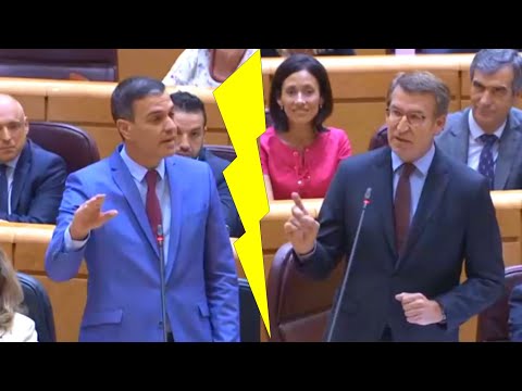 💥TENSIÓN en el