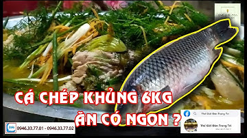 Cá chép om dưa l lần đầu làm cá chép khủng om 2 nồi dưa chua l lẩu nướng Việt Huệ