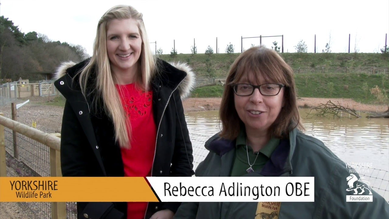 giraffes volleyball championship 2016 Rebecca Adlington officially opens the Giant Otter reserve at YWP