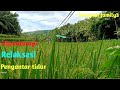 Suara Gemericik Air Untuk Relaksasi Dan Pengantar Tidur Mp3 - Mp4 Download