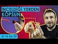 DÜNYANIN EN İYİ ŞARJ ALETİ | AT YA DA ÖP