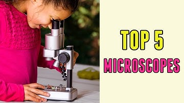 Best Microscopes
