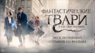 1080 Фантастические твари и где они обитают трейлер  эксклюзивный отрывок из фильма