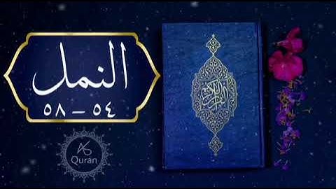 سورة النمل | الآيات ٥٤ - ٥٨ | قراءة عمرو شومان