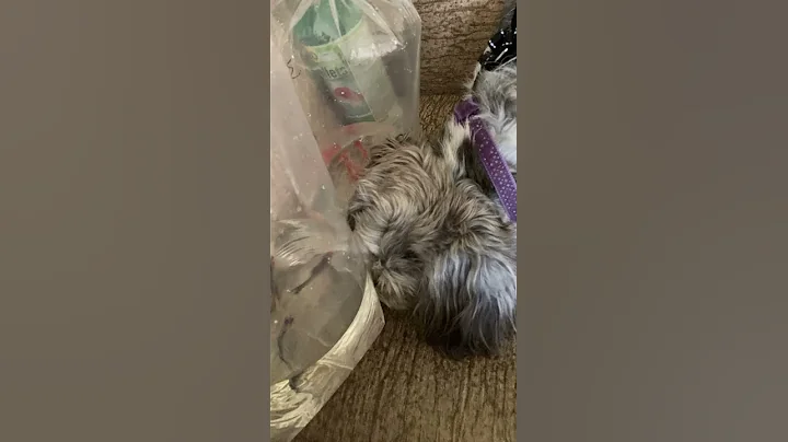 First encounters Of a fishy kind.