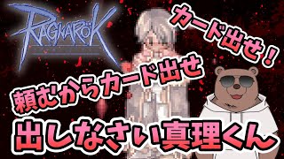 【#RO/L鯖】今日も日課の真理狩り【熊Vtuber/熊野ばーどん】