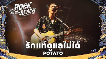 ROCK ON THE BEACH 2024 : รักแท้ดูแลไม่ได้ - POTATO