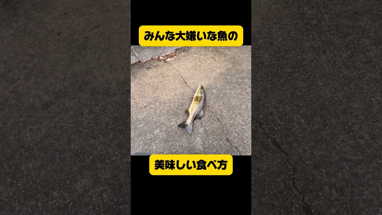 景気が悪いので自給自足をしよう#shorts #バス釣り
