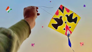Looting kites on rooftop | Kite catching | kite 🪁 