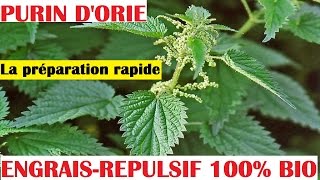 faire du purin d'ortie préparation proportion la recette (engrais biologique)