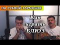 Как играть блюз на губной гармошке