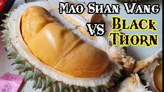 Black thorn vs musang king