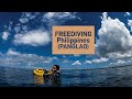 Freediving Phillipines (Panglao)