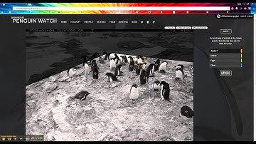Zooniverse Penguin Watch