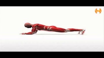 Isometric Exercise - The Webs