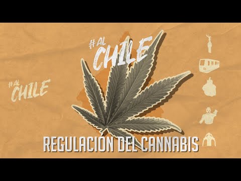 ¿Cómo va la regulación del #cannabis? | #AlChile | CHILANGO