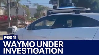 Waymo Automated Driving System Being Investigated