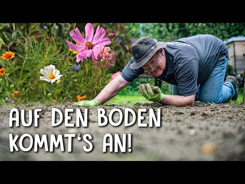 Video: Wildblumen anbauen: Wie man einen Wildblumengarten anlegt