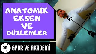 Anatomi̇ - Düzlemler Ve Eksenler