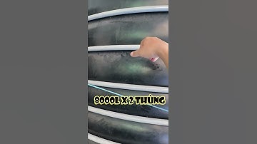 Hồ DẾ MỒI huyền thoại tại trại cá rồng VIỆT NAM #Shorts