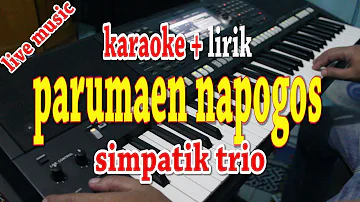 PARUMAEN NAPOGOS [KARAOKE LAGU BATAK] SIMPATIK TRIO