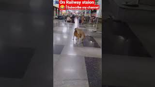 Dogs Sex on Railway Station😁😂#dogsex#dogshorts #doglovers #shorts #shortsfeed #youtubeshorts #short