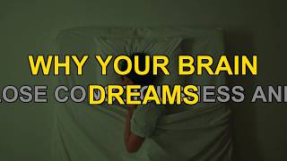 Why You Dream: The Shocking Truth About What Your Brain Does at Night