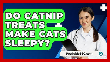 Do Catnip Treats Make Cats Sleepy? - PetGuide360.com