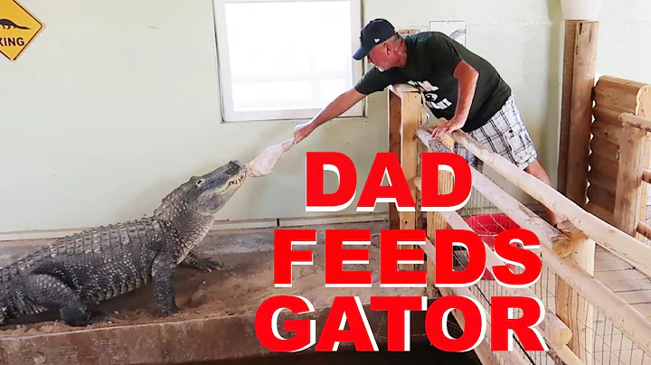 My Dad Feeds The Alligators!!!