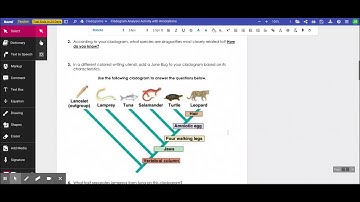 Cladogram Analysis Activity with Annotations