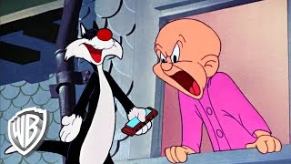 Looney Tunes | Back Ally Oproar
