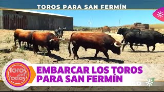 La delicada maniobra de embarcar los toros para San Fermín