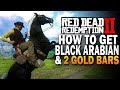 How To Get The Black Arabian & 2 Gold Bars! Red Dead Redemption 2 Horses [RDR2]