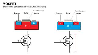 DIY 8 Bit Adder built from 152 Transistors