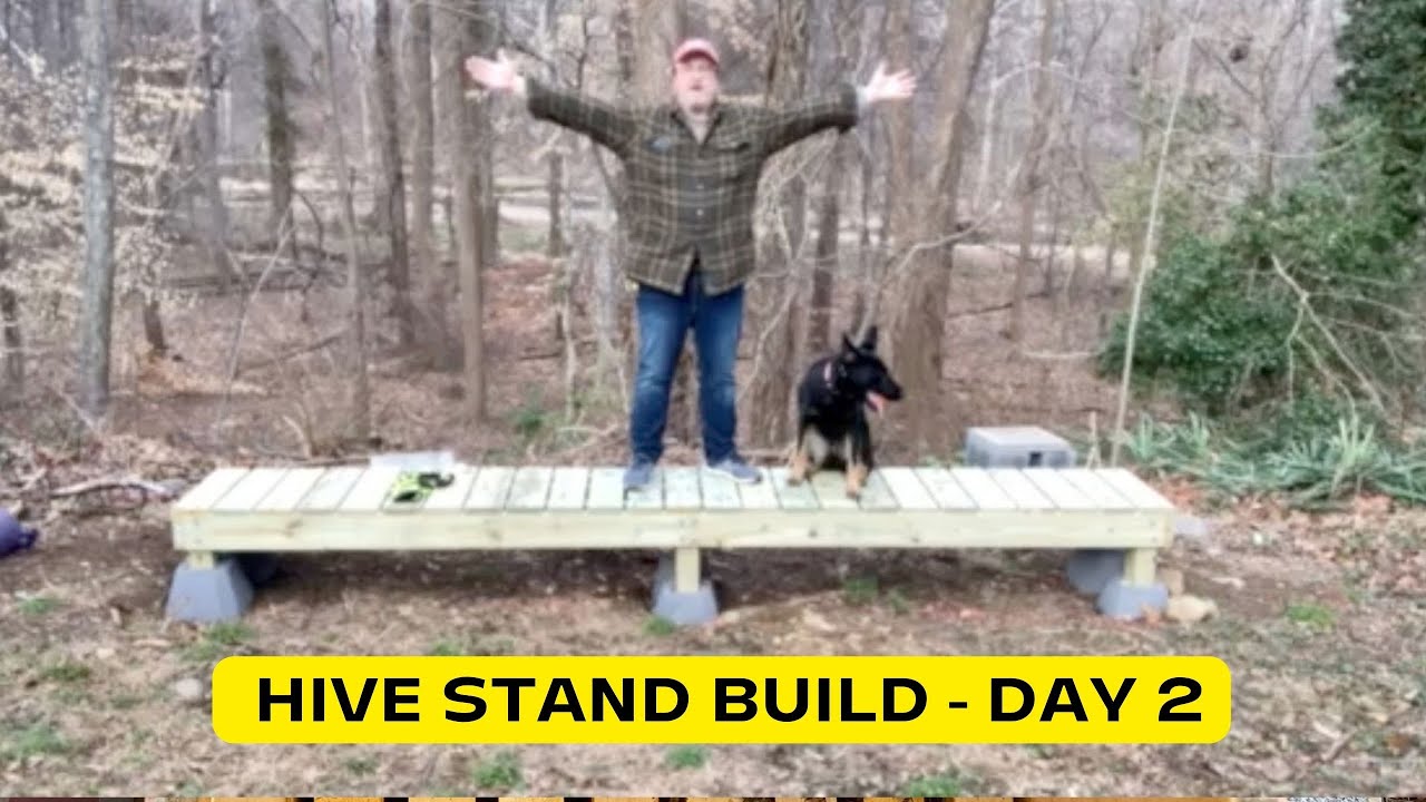 Hive Stand Build - Day 2 | Urban Beekeeping | Apiary | Honeybees | Virginia | Self-Sufficiency