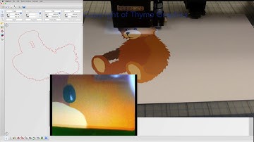 ThymeCam and Signcut