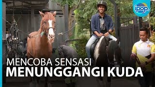 Mengenal Berbagai Macam Kuda di BSD Tangerang