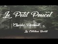 Le petit poucet charles perrault conte audio