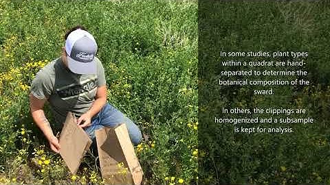 Grazing Research Techniques: Measuring Forage Yield