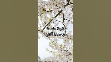 #تلاوة_خاشعة #سورة_الفتح