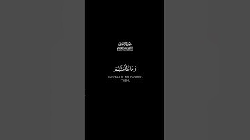 إن المجرمين في عذاب جهنم خالدون | كرومات قرآن كريم بصوت #ياسر_الدوسري | #سورة_الزخرف