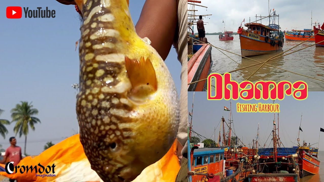 Dhamra Fishing Harbour  Bhadrak