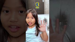 Belajar Bahasa Isyarat - Sibi Alphabet A To Z