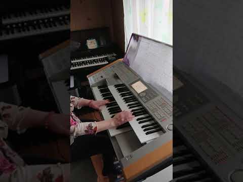 40.【ハナミズキ🏵️♪】一青窈