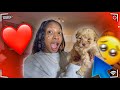 I SURPRISED MY SISTER WITH A NEW TEACUP PUPPY! SHE CRIED!  *Best Big Brother On Youtube*