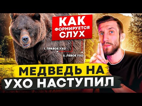 МЕДВЕДЬ НА УХО НАСТУПИЛ | Как формируется АБСОЛЮТНЫЙ СЛУХ